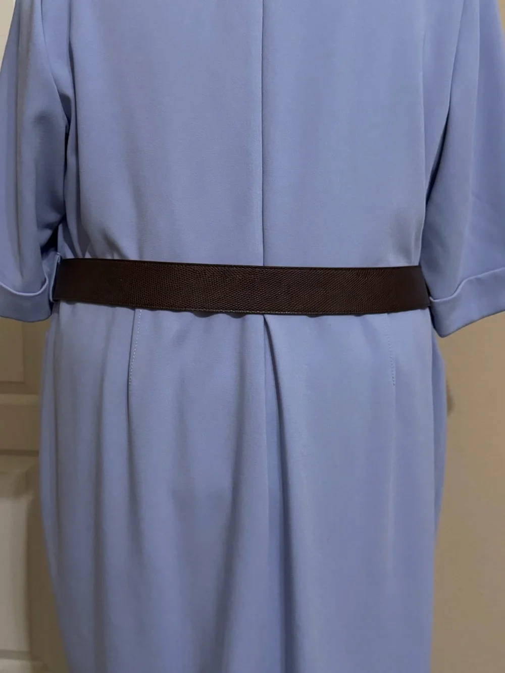 Donna Karan Light Blue Dress with Brown Belt and Gold Buckle